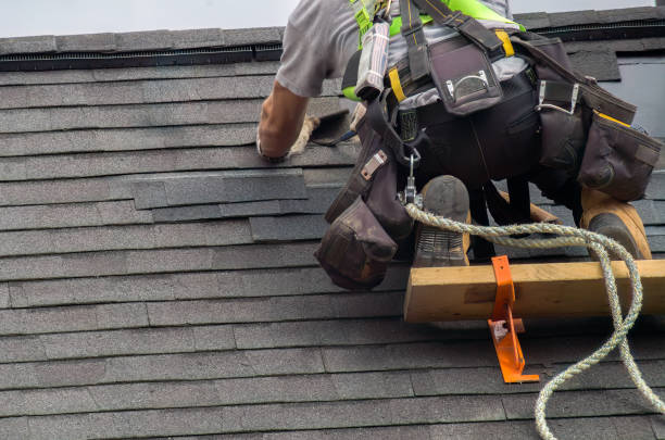Roof Gutter Cleaning in Royston, GA