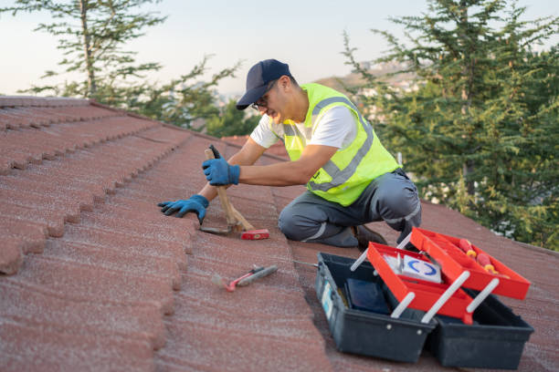 Best Roof Leak Repair  in Royston, GA