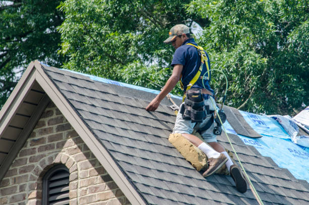 Best Shingle Roofing Installation  in Royston, GA